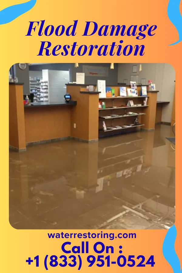 Flood Damage Restoration in Hawkins, WI