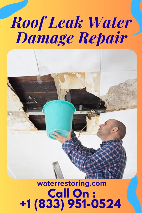 Roof Leak Water Damage Repair in Hawkins, WI
