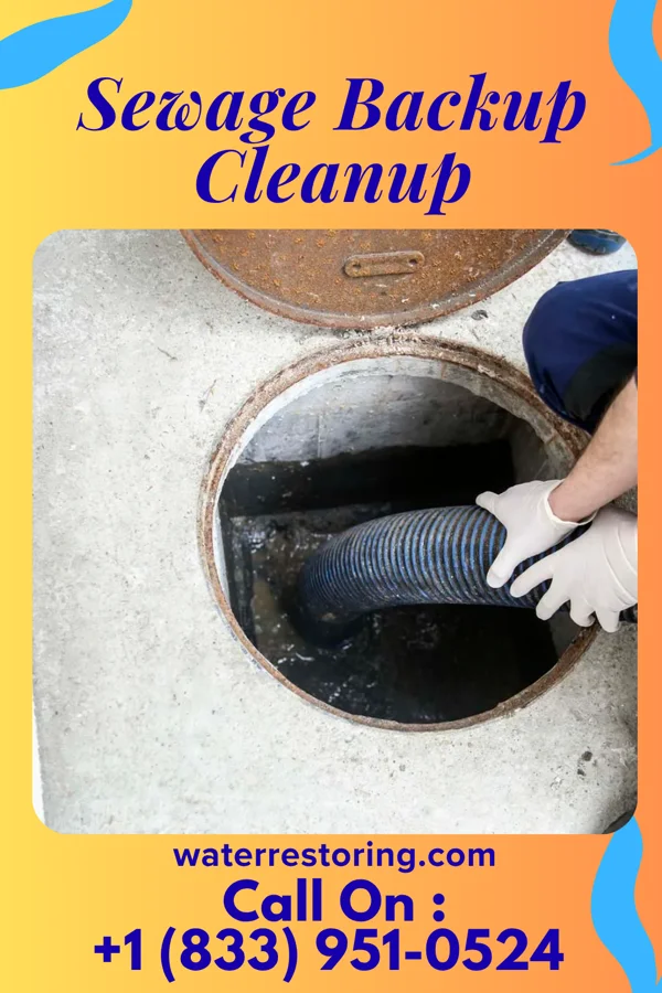 Sewage Backup Cleanup in Hawkins, WI